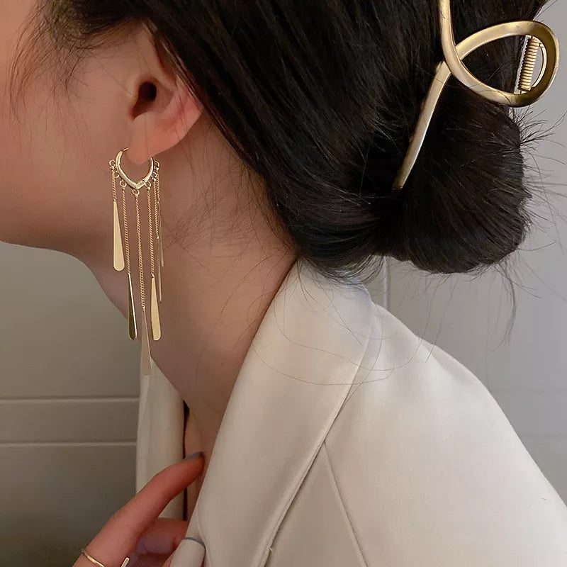 Long on sale tassel earrings